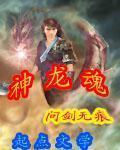 神龙魂 神龙魂