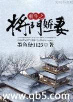 重生之将门娇妻封面