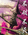 不破不灭封面