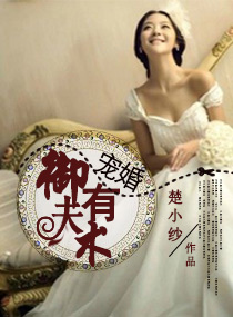 宠婚,御夫有术封面
