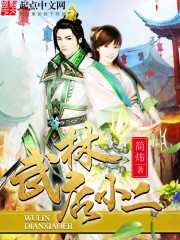武林店玄封面