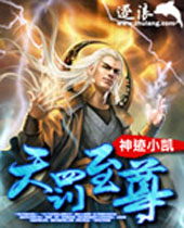 天罚至尊封面