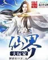 仙界大玩家封面