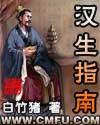 汉生指南封面