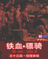 铁血骠骑封面