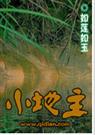 小地主封面