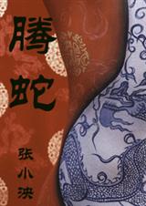 螣蛇封面