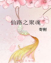 仙路之聚魂封面