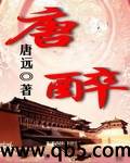 唐醉封面