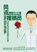 风流推销员封面