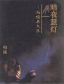暗夜慧灯封面