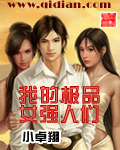 我的极品女强人们封面
