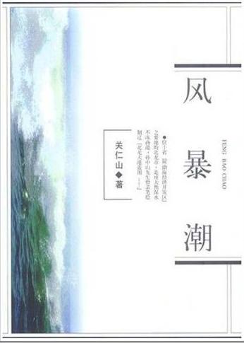 风暴潮封面