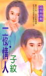 一夜情人封面