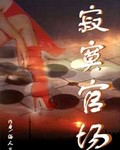 寂寞官场封面