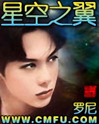 星空之翼封面