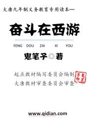 奋斗在西游封面