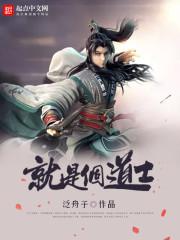 就是个道士封面