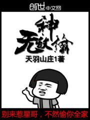 无敌神偷封面