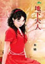 地下夫人封面