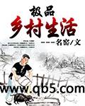 极品乡村生活封面