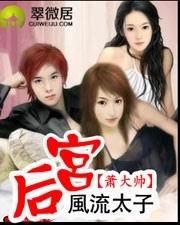 风流太子后宫封面