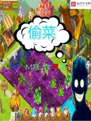 偷菜系统封面
