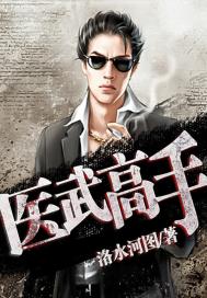 医武高手封面