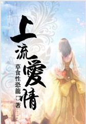 上流爱情封面