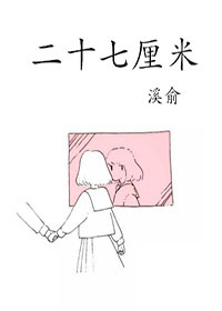二十七厘米封面