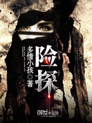险探封面