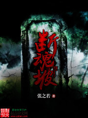 断魂坡封面