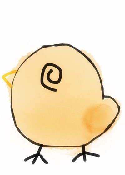 ��׽��������