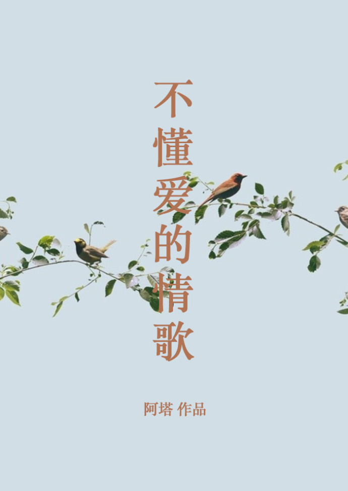 不懂爱的情歌封面
