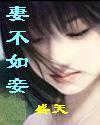 妻不如妾封面