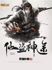 仙盗神途封面