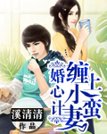 婚心计:缠上小蛮妻封面