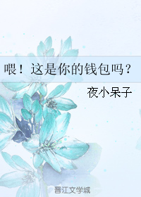 喂!这是你的钱包吗?封面