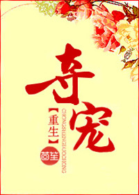 夺宠封面
