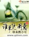 谁来凭阑意封面