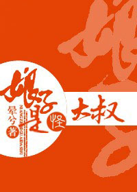 娘子是怪大叔封面