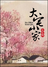 大宅小家封面