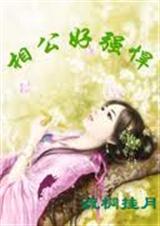 相公好强悍封面