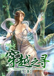 穿越之寻封面