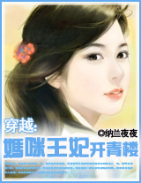 穿越:青楼王妃-妈咪王妃开青楼封面