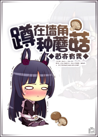 ����ǽ����Ģ������