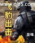 飞豹出击封面