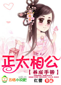 正太相公养成手册封面
