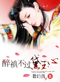 醉禛不过黛玉心封面