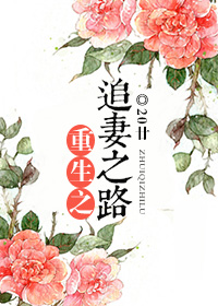 重生之追妻之路封面